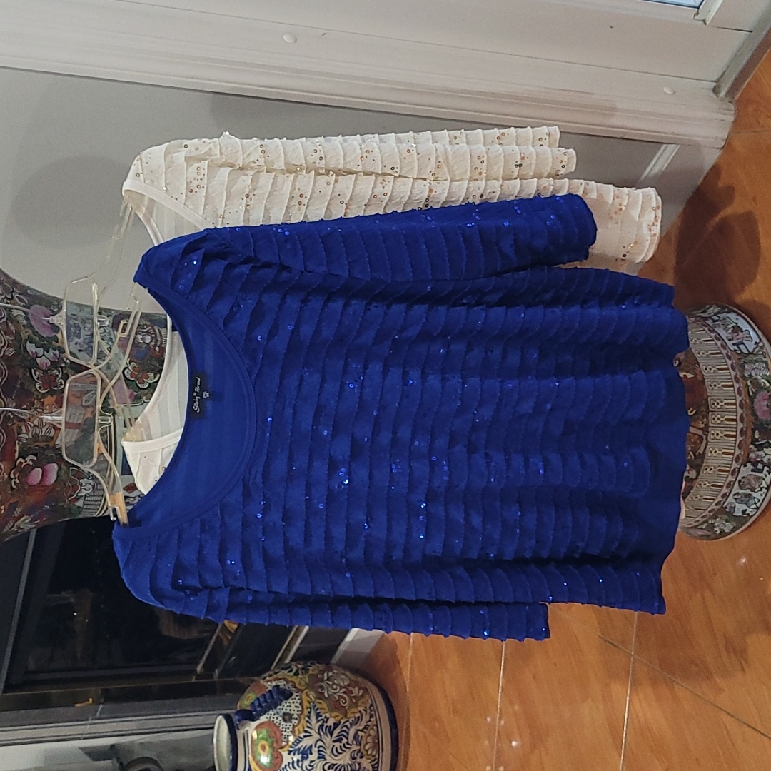 Slinky Brand 2 Blouses Slinky Brand 2 Blouses